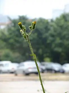 灵活多变全能相机富士F200EXR功能评测(12)