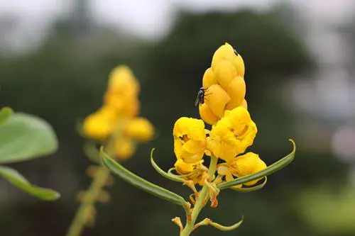 骨子里的强悍佳能升级版单反50D评测(16)