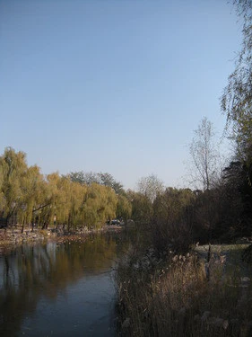 s60的第五期评测 