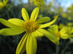 点击放大此图片