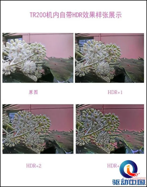 要做大美人 卡西欧TR200倾情评测