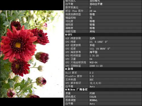 顶级全手动消费旗舰尼康高端P6000评测(5)