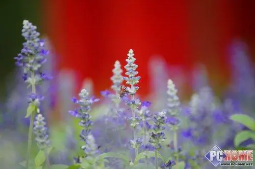 走向高端索尼首款全画幅单反α900评测(22)