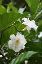 以画质取胜入门单反佳能1000D深度评测(6)