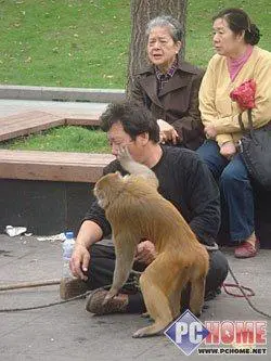 拍摄高清放高清索尼新贵T500详细评测(11)