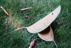 以画质取胜入门单反佳能1000D深度评测(11)