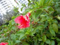 乐趣触摸拍摄体验3寸大屏明基T850评测(13)