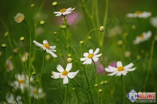 走向高端索尼首款全画幅单反α900评测(22)