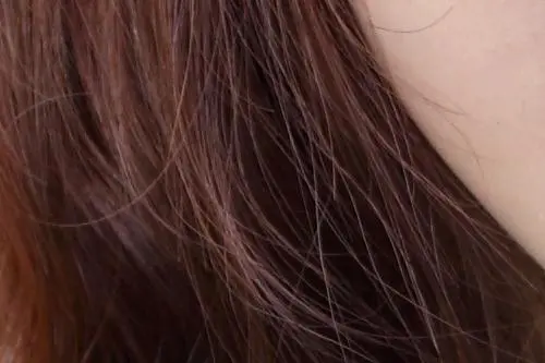 谁主沉浮佳能450D、50D与尼康D90对比(28)