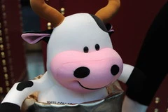 王者风范 尼康新全幅旗舰D3X深度评测 王者风范 尼康新全幅旗舰D3X深度评测