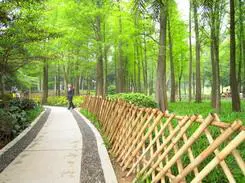 高速响应时尚DC四倍光变尼康S620评测(6)