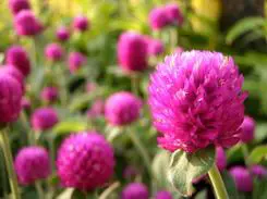 μ系卡片DC闪亮变身奥林巴斯μ1040评测(15)