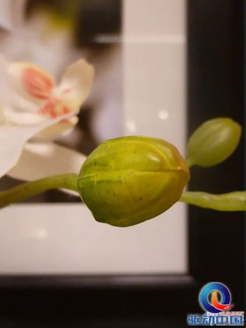 掌控在你手 松下SZ5远程拍试用评测