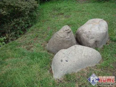 出色的成像能力索尼富士全面PK评测(8)