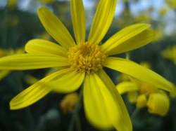 点击放大此图片