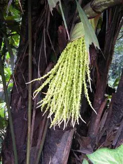 高速响应时尚DC四倍光变尼康S620评测(6)