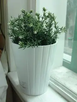 30张每秒高速连拍卡西欧长焦FC100评测(6)