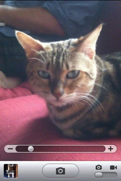 音乐播放程序的改变