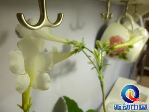 掌控在你手 松下SZ5远程拍试用评测