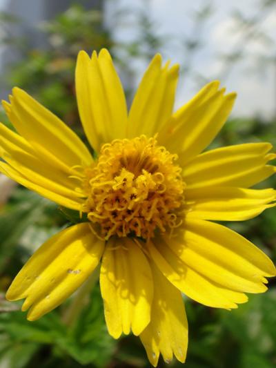 金属机身时尚卡片DC索尼T700详细评测(16)