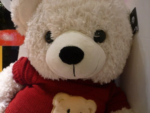 由内而外的强悍 高画质松下FX180详细评测 