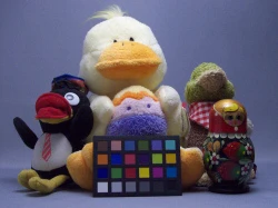 点击放大此图片