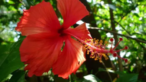 实用度继续上升25mm广角松下FX38评测(9)