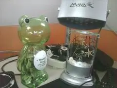 内置GPS芯片摩托全键盘智能Q11评测(3)