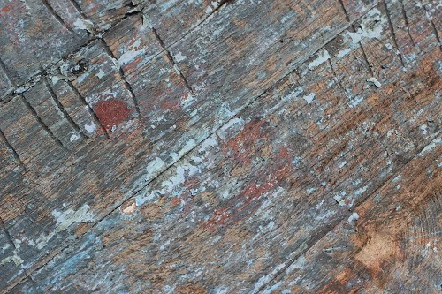 出色1500万像素 佳能50D国外评测样片