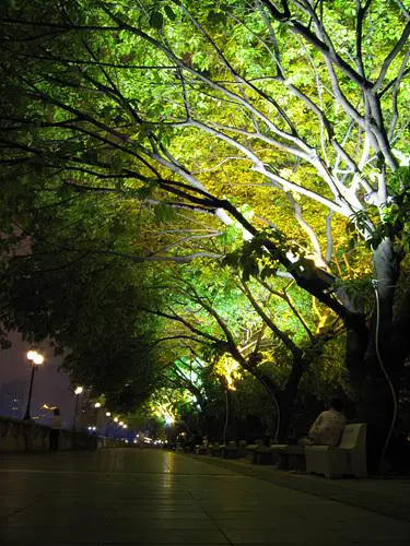 卡片机身藏巨炮轻巧佳能SX200IS评测(10)