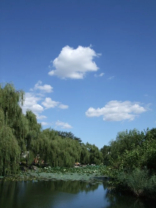 第七代Super CCD 富士高性价比F60fd评测 