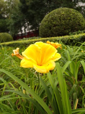 高画质1450万像素 尼康旗舰卡片S710评测 