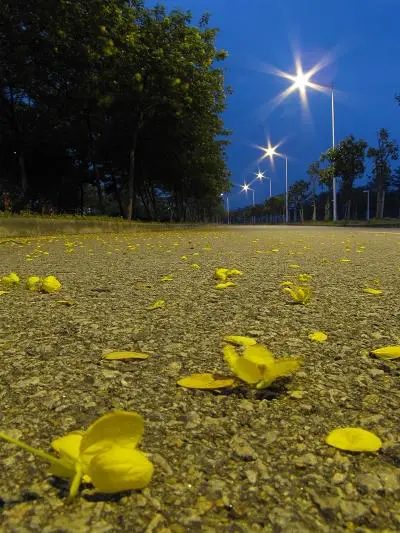 压倒性长焦力量20倍光变佳能SX10IS评(7)