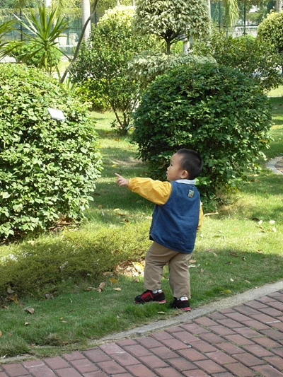 三星NV100HD评测 三星NV100HD评测