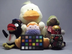 点击放大此图片