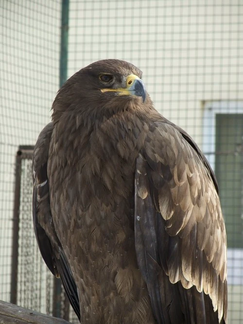 口袋中的高画质DC 富士F200EXR评测首发 