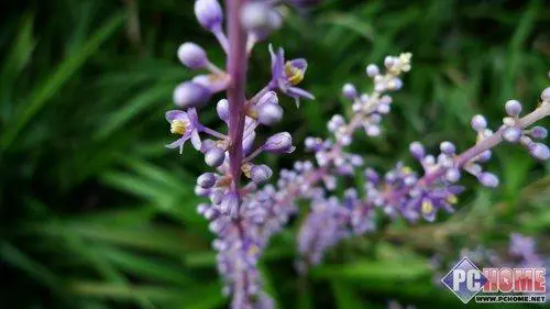 卡片机之王旗舰级松下LX3详尽评测报告(21)