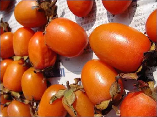 高清录像卡片机时尚索尼T500全面评测(10)