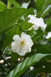 以画质取胜入门单反佳能1000D深度评测(6)