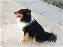 秀外慧中的选择尼康便携S710综合评测(13)