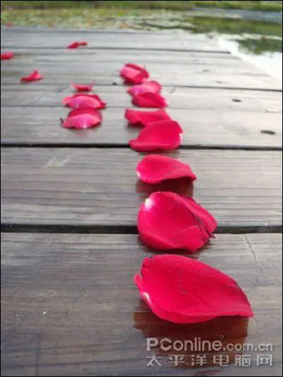 秀外慧中的选择尼康便携S710综合评测(11)