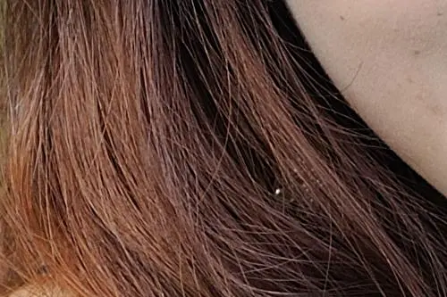 谁主沉浮佳能450D、50D与尼康D90对比(28)