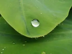 朴实无华5倍光变奥林巴斯FE-370评测(14)