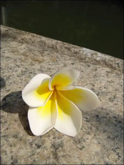 高清录像卡片机时尚索尼T500全面评测(10)