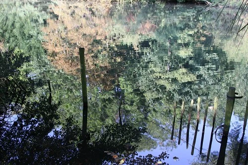 出色1500万像素 佳能50D国外评测样片