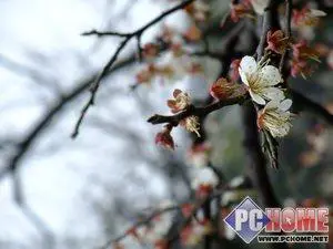 小巧精致高画质DC富士F200EXR评测报告(8)