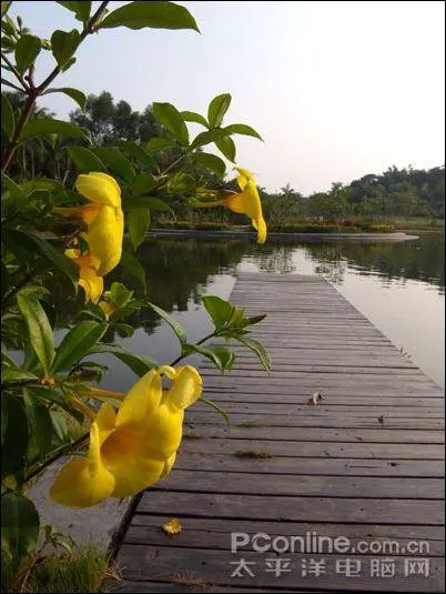 秀外慧中的选择尼康便携S710综合评测(10)