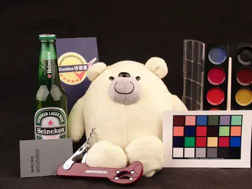 30张每秒高速连拍卡西欧长焦FC100评测(4)