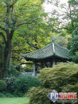 笑脸快门引领高清索尼HDR-CX12E评测(10)