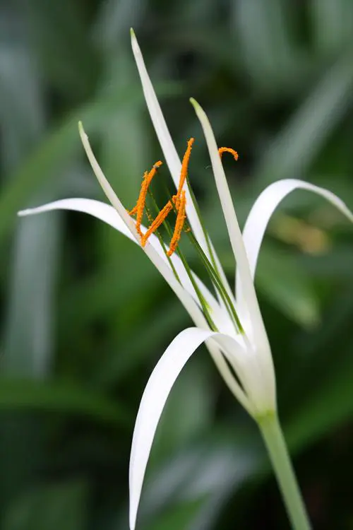 以画质取胜入门单反佳能1000D深度评测(18)